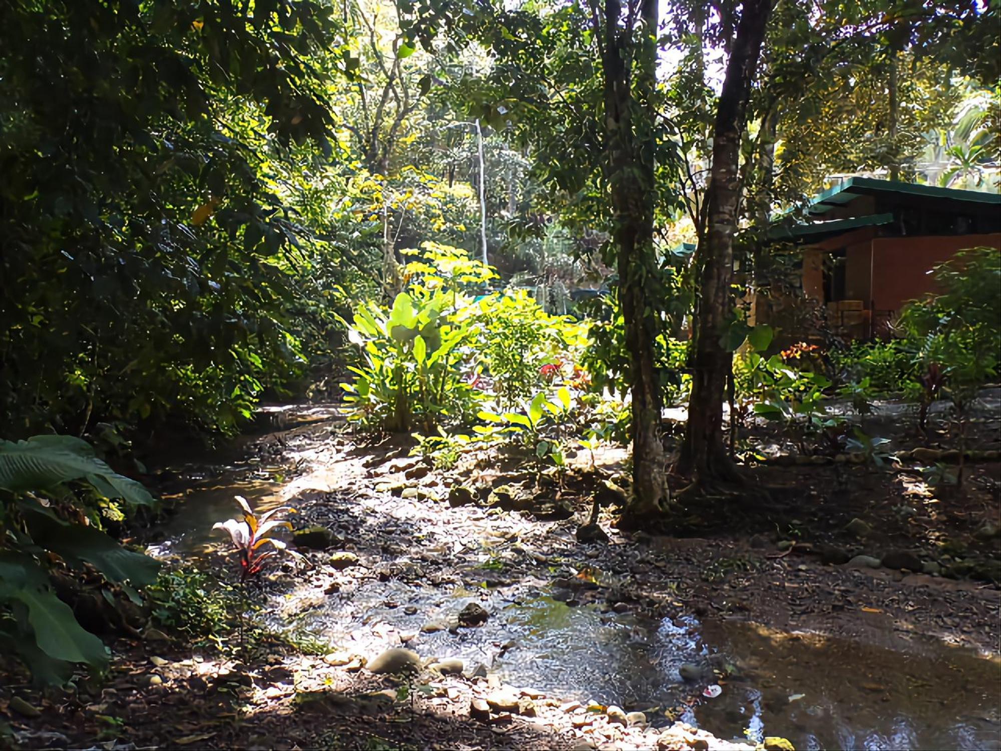 Riverside Villas Nationalpark Nationalpark Manuel Antonio Exterior foto