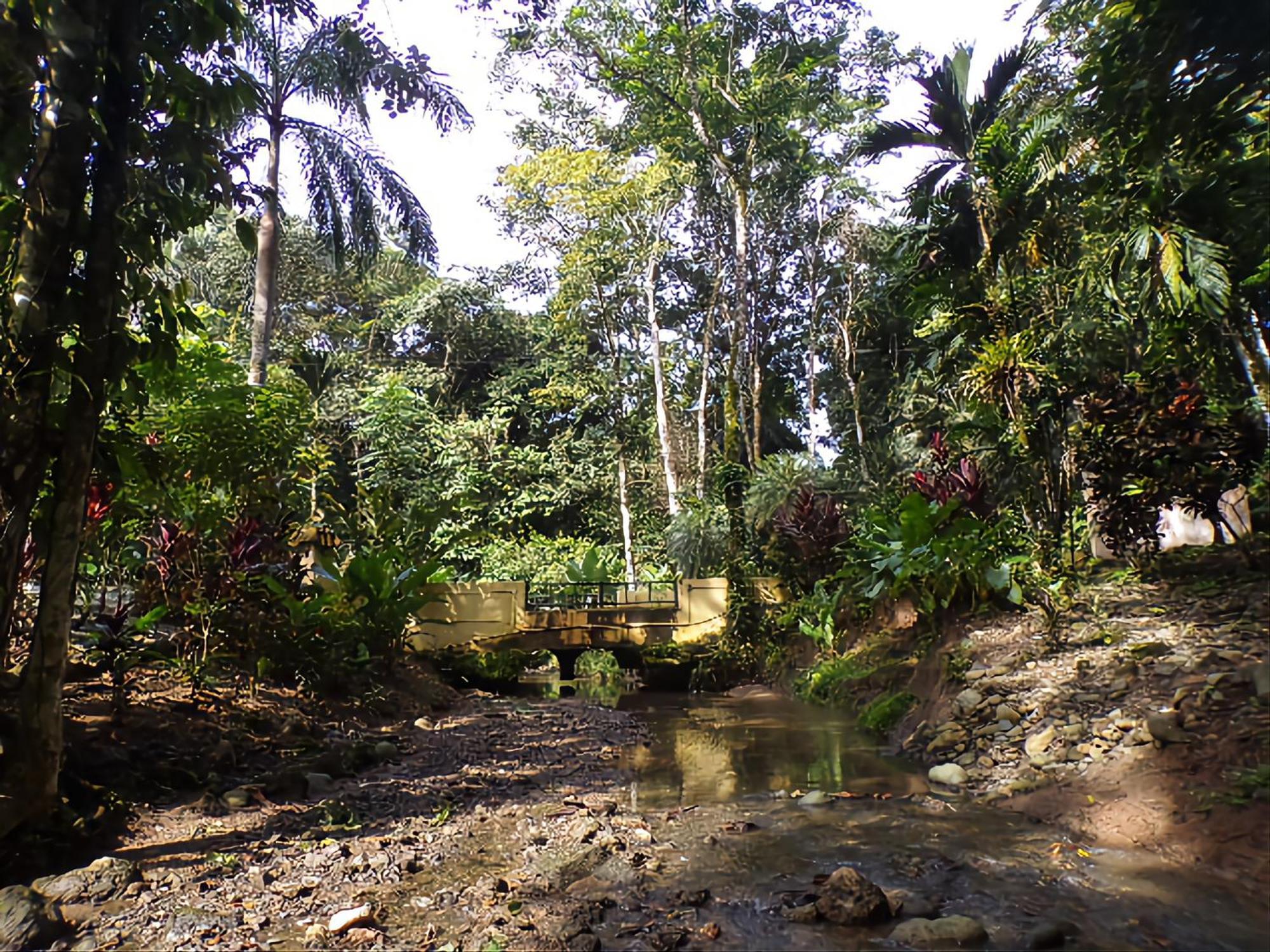 Riverside Villas Nationalpark Nationalpark Manuel Antonio Exterior foto