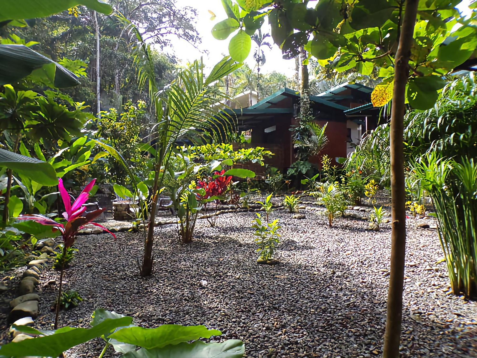 Riverside Villas Nationalpark Nationalpark Manuel Antonio Exterior foto