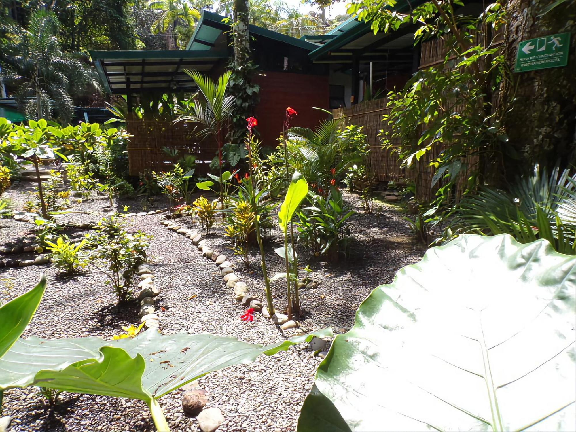 Riverside Villas Nationalpark Nationalpark Manuel Antonio Exterior foto