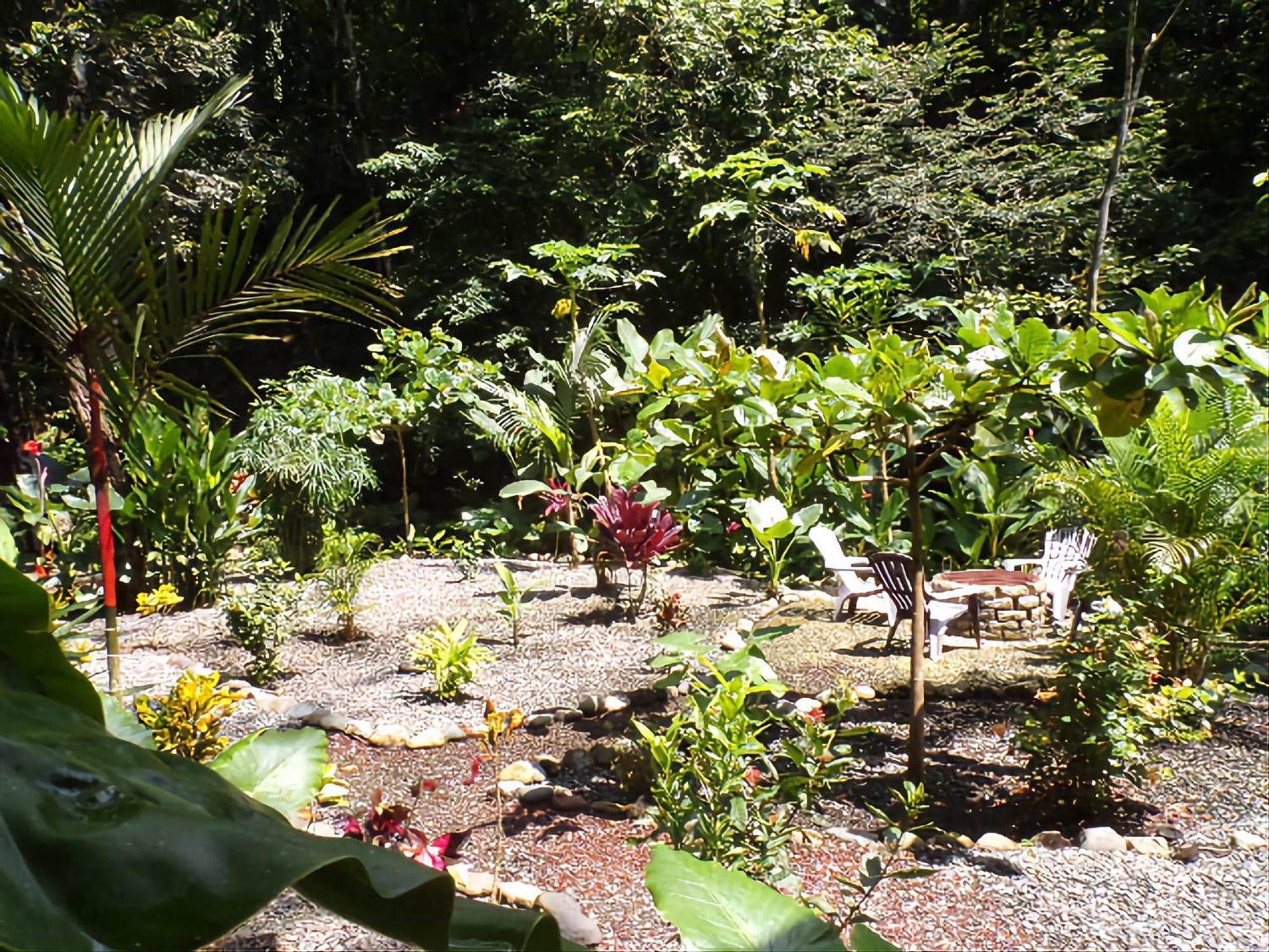 Riverside Villas Nationalpark Nationalpark Manuel Antonio Exterior foto