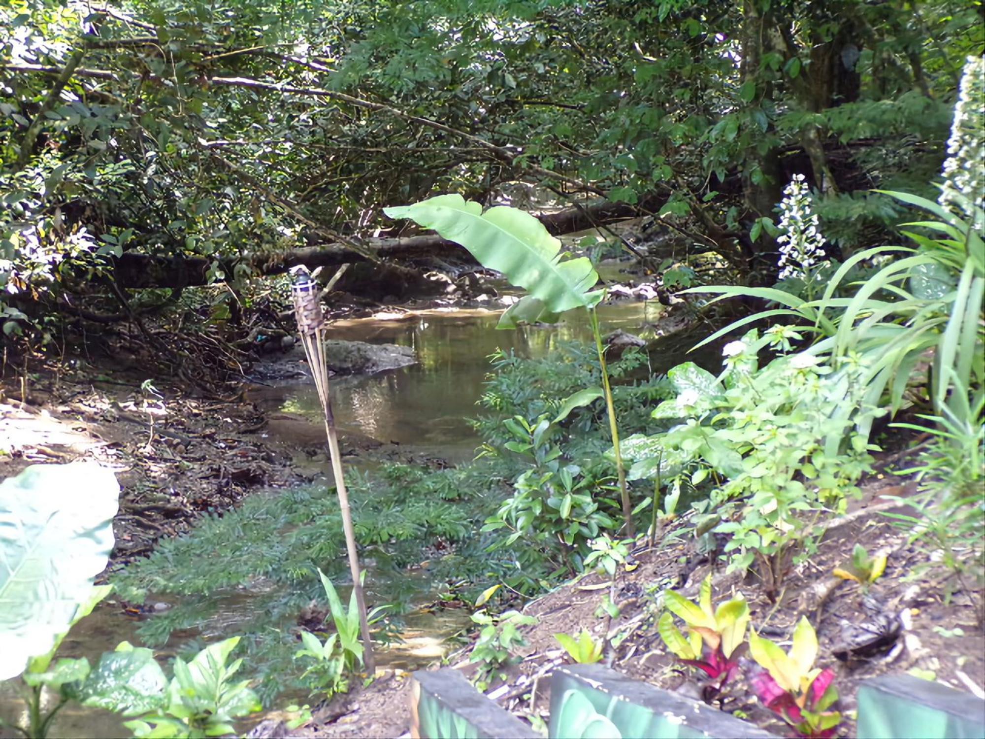 Riverside Villas Nationalpark Nationalpark Manuel Antonio Exterior foto